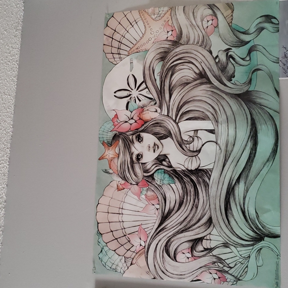 Little mermaid poster